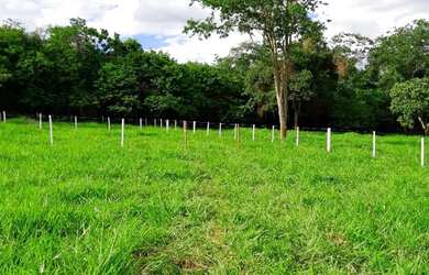 Imagem 3: Chácara à 32 km de Goiânia - Em Bonfinópolis-GO