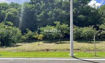 Imagem: TERRENO EM GRAMADO