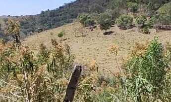 Imagem 4: Lotes para venda possui 500 metros quadrados em Vila São Domingos - São Roque - SP