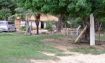 Imagem 3: Fazenda de 226 Hectares em Formoso MG Escriturada
