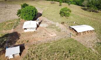 Imagem: Sitio 7 alqueires município de Rio Quente