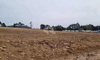 Imagem 2: Terreno com 30.000 m2 no distrito industrial de São Francisco de Paula