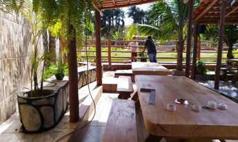 Imagem 5: Chácara para venda com 3.800 m2 com 5 quartos, piscina em Rio verde Go