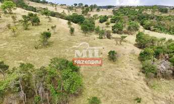 Imagem 4: Chacara 11 alqueires (53,24 hectares) araçu - Go