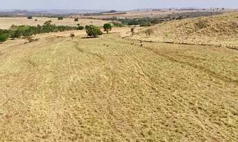 Imagem 5: Fazenda de 70 alqueires em Pontalina go
