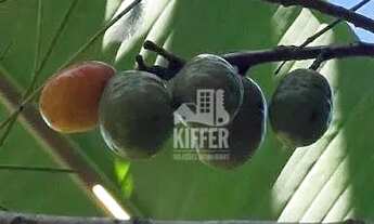 Imagem 6: Chácara à venda, 31972 m² por R$ 980.000,00 - Piratininga - Niterói/RJ