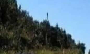 Imagem 5: Lote / Terreno de Bairro Para Vender no bairro Santo Afonso em Betim