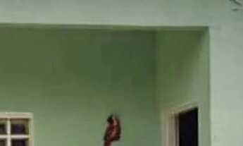 Imagem: Casa no São Cristóvão