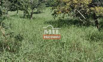 Imagem 6: Fazenda 26 alqueires (125,84 hectares ) Goianésia - Go