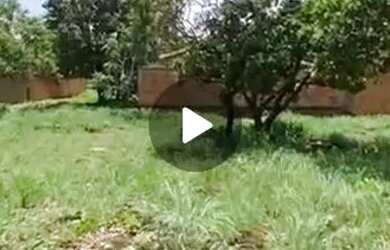 Imagem: Lote QUITADO próx a TO 080 LAGUNA 1