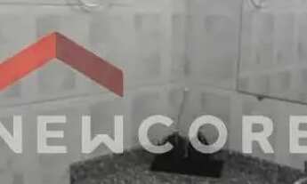 Imagem 6: Apartamento em Rua Álvaro Muller - Vila Itapura - Campinas/SP