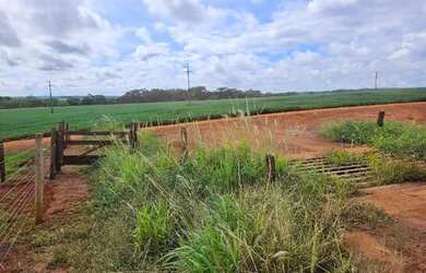 Imagem 7: Área 24 hectares, Rio Verde - GO