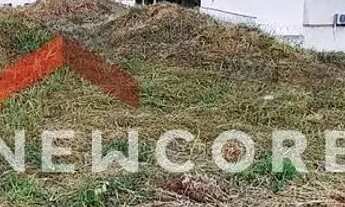 Imagem 3: Lote em Rua Erciley Parolim - Jardim Amélia Dionísio - Olímpia/SP