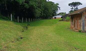 Imagem 2: Arrendamento de pasto pra gado , área localizada no bairro mandassaia , Campina G.do sul