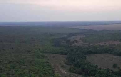 Imagem 4: Fazenda super barata no Maranhão