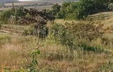 Imagem 7: Lote em caminho m - PRIMAVERA - São Pedro/SP