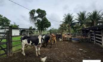 Imagem 6: Áreas à venda em rua pública, CENTRO, Coaraci, BA