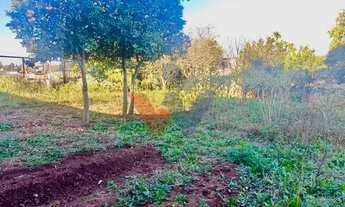 Imagem 4: Terreno Espaçoso em Localização Privilegiada Perfeito para Construir ou Investir