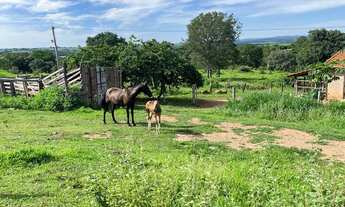 Imagem 4: Chácara a venda em Ipora
