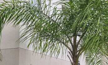 Imagem: Apartamento no Residencia Meu Lar - Neves