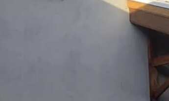 Imagem 5: Linda casa no Pinheirinho