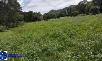 Imagem 4: Fazenda à Venda em Heitoraí GO | 50 Alqueires