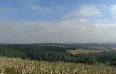 Imagem 6: Vendo ou troco chácara em taici Rio Branco do Sul por casa, carro, em Almirante Tamandaré