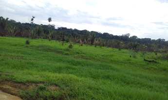 Imagem 4: Fazenda com 270 alqueires no Guata - entre Rondônia e Mato Grosso