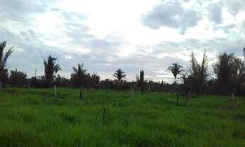 Imagem 6: Fazenda com 270 alqueires no Guata - entre Rondônia e Mato Grosso