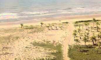 Imagem 5: ÁREA BARRA DOS COQUEIROS JATOBÁ