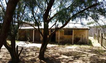 Imagem 3: Casa cidreira Casa com 2 dormitórios