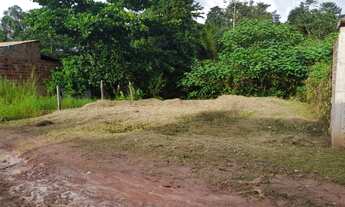 Imagem 2: Vendo terreno em Maturidade