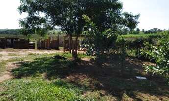 Imagem 2: Chácara R$ 150.000,00 mil (2 alqueire