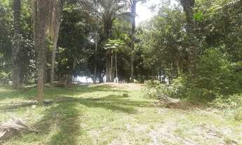 Imagem 7: Terrenos para chácaras. Darius na estrada da vivenda verde. Tarumã