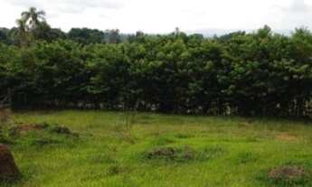 Imagem: Chácara - Terreno - Lote