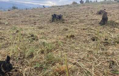 Imagem 4: Traga a família