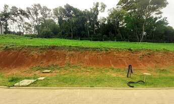 Imagem 2: Terreno à Venda - Primavera