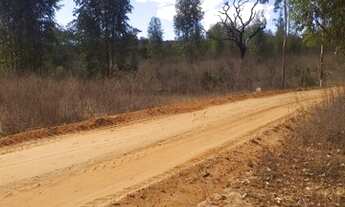 Imagem 4: Vendo chácara preço de oportunidade