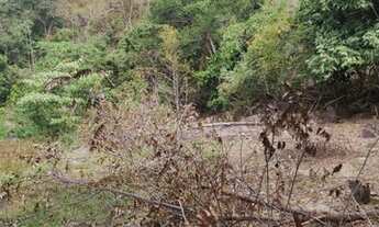 Imagem 2: Chácaras parcelada em Jandaia - GO