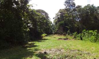 Imagem 2: Lotes a venda em mosqueiro