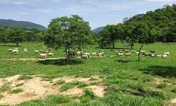 Imagem 5: Fazenda na Agrovila das Palmeiras