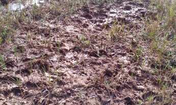 Imagem: Terra em Governador Valadares