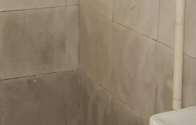 Imagem 5: Alugo casa GUARA 2