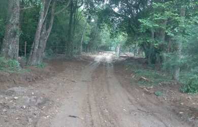 Imagem 5: Terreno 20x15 lomba do pinheiro