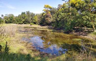 Imagem 3: Fazenda de 110 hectares. Plana. Divisa Rio Aquidauana - Corguinho - MS