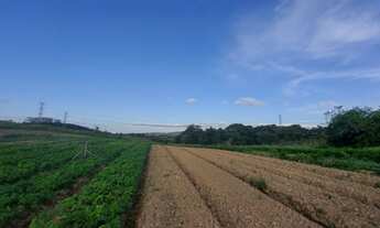Imagem: O/26 Terreno para venda possui 500 metros