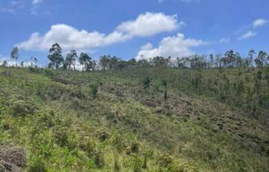 Imagem 4: Lotes para venda com 1000 metros