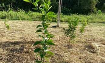 Imagem 4: Propriedade Rural