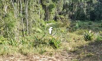 Imagem 5: SãO PEDRO DE ALCâNTARA - Terreno Padrão - Invernada