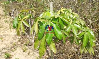 Imagem 3: TAQUARAÇU DE MINAS - Fazenda - Condomínio Morada da Serra